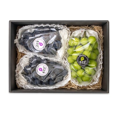 シャインマスカット・ナガノパープル食べ比べセット3房1.7kg 宮崎県西都市産ぶどう[2901]