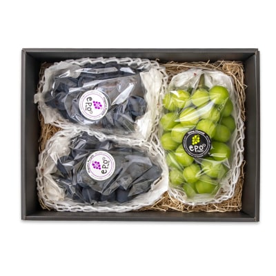 シャインマスカット・ナガノパープル食べ比べセット3房1.7kg 宮崎県西都市産ぶどう[2901]