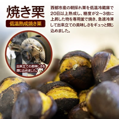 低温熟成栗使用!焼き栗 2パック 合計500g　【先行受付】[2326]