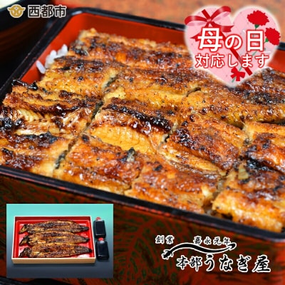【母の日ギフト】嘉永元年創業『本部うなぎ屋』鰻の蒲焼(3尾)[3108]