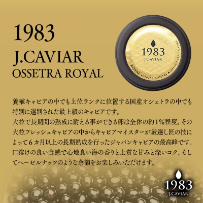 MIYAZAKI CAVIAR1983オシェトラロイヤル 20g「国産」ジャパンキャビア[2764]