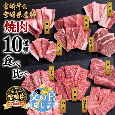【父の日ギフト】宮崎牛&宮崎県産豚肉 焼肉10種盛り　焼肉セット計600g[3003]