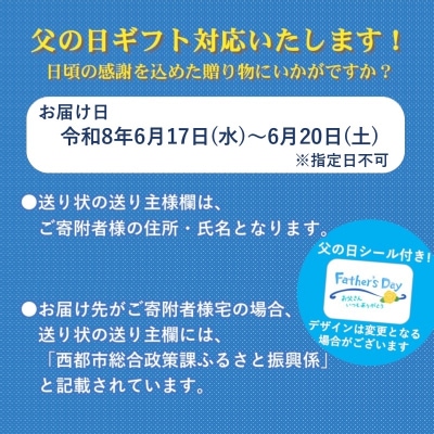 【父の日ギフト】宮崎牛&宮崎県産豚肉 焼肉10種盛り　焼肉セット計600g[3003]