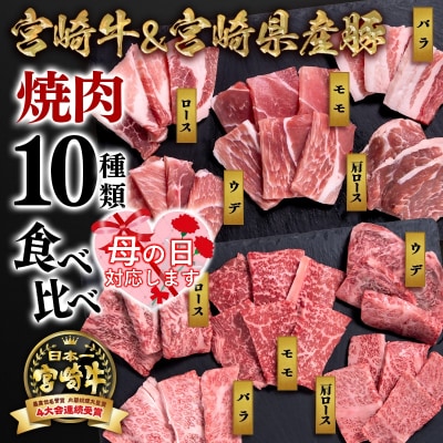 【母の日ギフト】宮崎牛&宮崎県産豚肉 焼肉10種盛り　焼肉セット計600g[3003]
