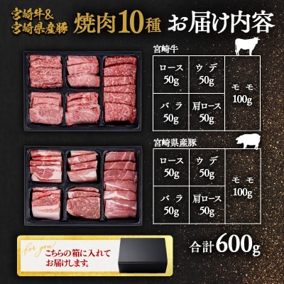 【母の日ギフト】宮崎牛&宮崎県産豚肉 焼肉10種盛り　焼肉セット計600g[3003]