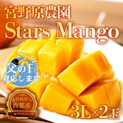【父の日ギフト】宮野原農園【3Lサイズ2個】宮崎県西都市産完熟マンゴー　スターズマンゴー[2903]