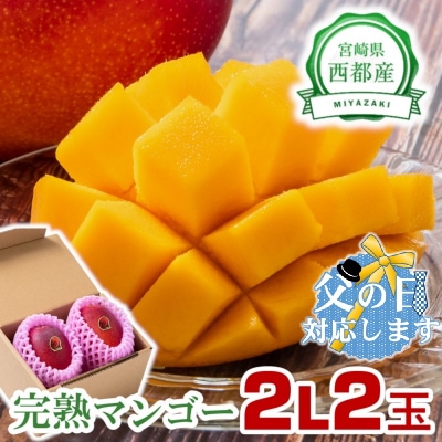 【父の日ギフト】『2L×2玉』西都市産完熟マンゴー2玉[2641]