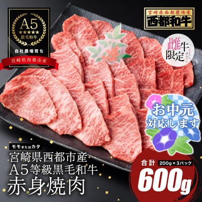 【お中元ギフト】【A5等級黒毛和牛】赤身焼肉(200g×3)宮崎県産 カミチクファーム[2705]