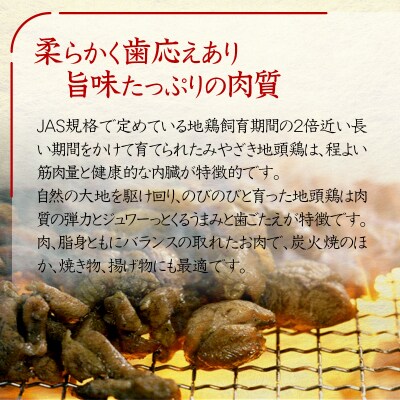 【お中元ギフト】宮崎県本格地鶏『みやざき地頭鶏』地鶏炭火焼き5パック[2296]