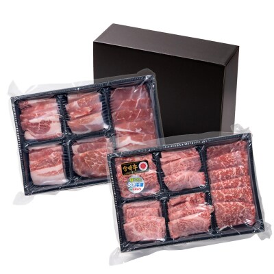 【お中元ギフト】宮崎牛&宮崎県産豚肉 焼肉10種盛り　焼肉セット計600g[3003]