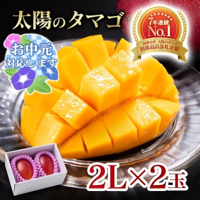 【お中元ギフト】西都市産完熟マンゴー 太陽のタマゴ2L×2玉[2908]