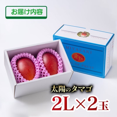 【お中元ギフト】西都市産完熟マンゴー 太陽のタマゴ2L×2玉[2908]