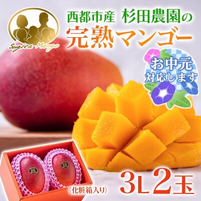 【お中元ギフト】杉田農園完熟マンゴー 2玉 900g~1kg 化粧箱入 宮崎県西都市[2894]