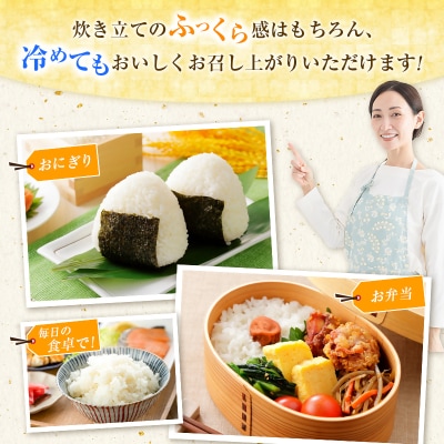 令和8年産 宮崎県産コシヒカリ無洗米2kg[3300]