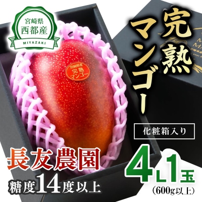 糖度14度以上大玉4Lサイズ(600g以上)長友農園完熟マンゴー宮崎県西都産【先行受付】[3305]