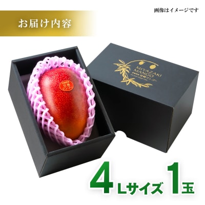 糖度14度以上大玉4Lサイズ(600g以上)長友農園完熟マンゴー宮崎県西都産【先行受付】[3305]