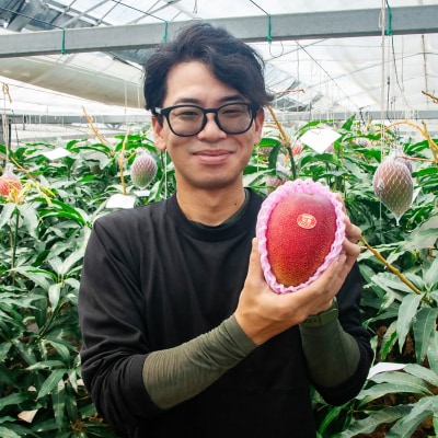 糖度14度以上大玉4Lサイズ(600g以上)長友農園完熟マンゴー宮崎県西都産【先行受付】[3305]