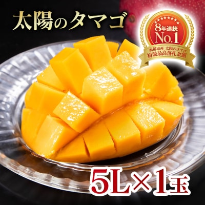 【令和9年6月発送】西都市産完熟マンゴー 太陽のタマゴ5L×1玉【先行受付】[3328]