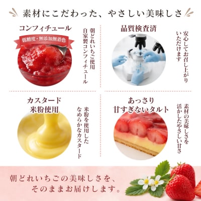 苺大野屋 やよいひめ 冷凍苺タルト 宮崎県西都市産[3262]