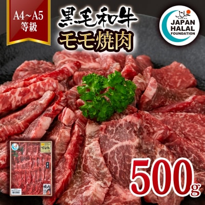 黒毛和牛モモ焼肉 500g A4～A5等級  国産牛肉 焼き肉 ハラール認証[3270]