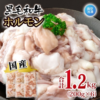 黒毛和牛ホルモン 1.2kg 小分け200g×6 小腸 国産牛肉焼肉もつ真空パック[3279]