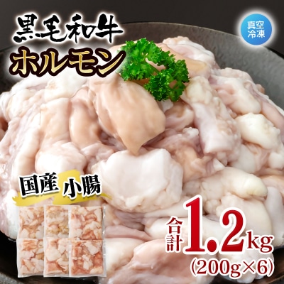 黒毛和牛ホルモン 1.2kg 小分け200g×6 小腸 国産牛肉焼肉もつ真空パック[3279]