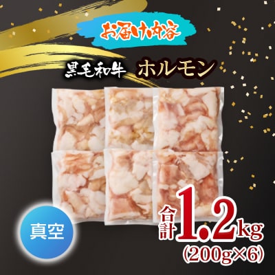 黒毛和牛ホルモン 1.2kg 小分け200g×6 小腸 国産牛肉焼肉もつ真空パック[3279]