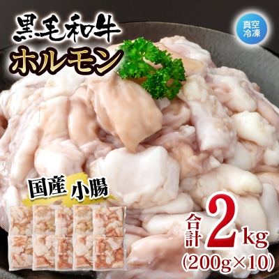 黒毛和牛ホルモン 2kg 小分け200g×10 小腸 国産牛肉焼肉もつ真空パック[3280]