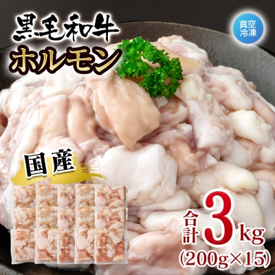 黒毛和牛ホルモン 3kg 小分け200g×15 小腸 国産牛肉焼肉もつ真空パック[3281]