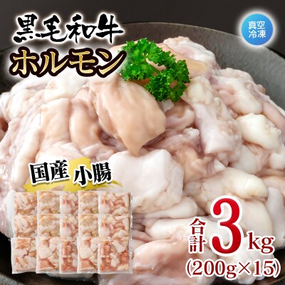 黒毛和牛ホルモン 3kg 小分け200g×15 小腸 国産牛肉焼肉もつ真空パック[3281]