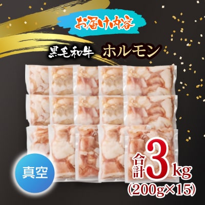 黒毛和牛ホルモン 3kg 小分け200g×15 小腸 国産牛肉焼肉もつ真空パック[3281]