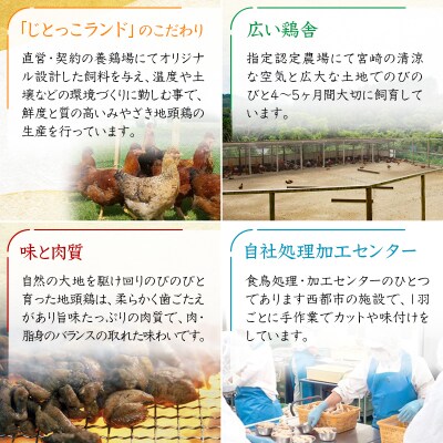 みやざき地頭鶏1羽セット&鍋用特製スープ付　宮崎県産もも肉むね肉手羽先手羽元ささみ[3306]
