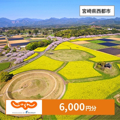 【じゃらんふるさと納税クーポン】 宮崎県西都市でつかえる6,000円 クーポン
