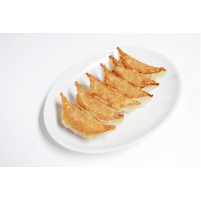 【とりしょう餃子】24個入り