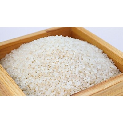 【令和2年産】宇都宮産コシヒカリ　2kg