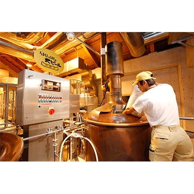 宇都宮クラフトビール宇都宮産麦芽100%コンビ10本セット(各330ml)