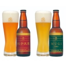 宇都宮名物「餃子に合うビール」2種 計10本セット(各330ml)