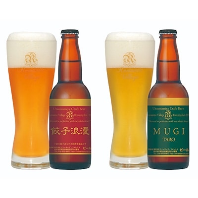 宇都宮名物「餃子に合うビール」2種　計10本セット(各330ml)