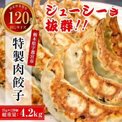 餃子専門店 宇都宮悟空　特製肉餃子120個入