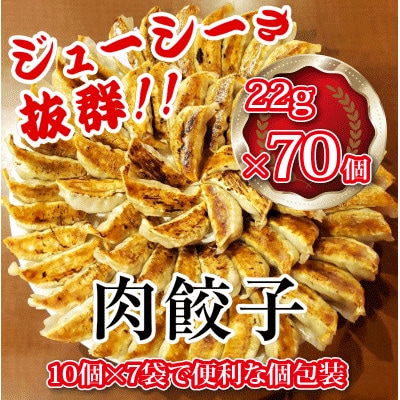 【毎月定期便】餃子専門店 宇都宮悟空 肉餃子70個全3回