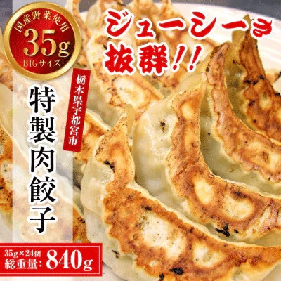 【毎月定期便】餃子専門店 宇都宮悟空 特製肉餃子24個入全3回