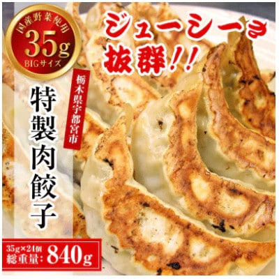 【毎月定期便】餃子専門店 宇都宮悟空 特製肉餃子24個入全6回