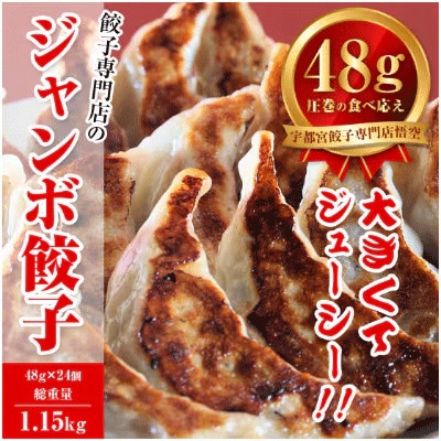 【毎月定期便】餃子専門店 宇都宮悟空 ジャンボ餃子24個入全6回