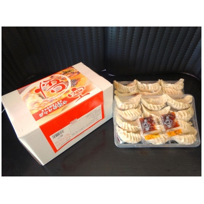 【毎月定期便】餃子専門店 宇都宮悟空 ジャンボ餃子24個入全6回