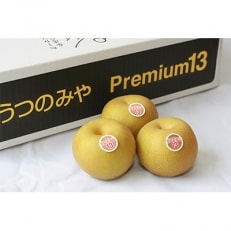 栃木県産JAうつのみや 梨premium13(豊水)5kg(10玉～12玉)