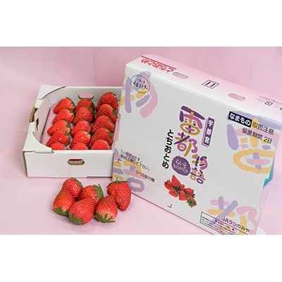 栃木県産JAうつのみや　とちおとめ化粧箱(25粒)×2箱