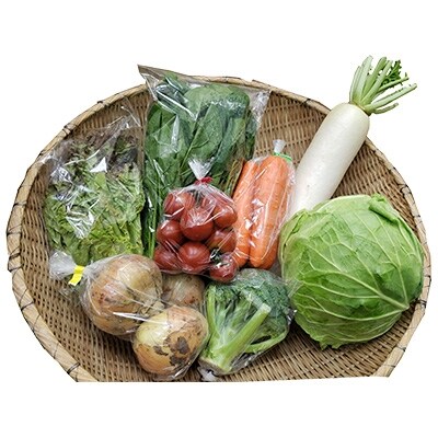 宇都宮産　季節の野菜セット　生産者直送