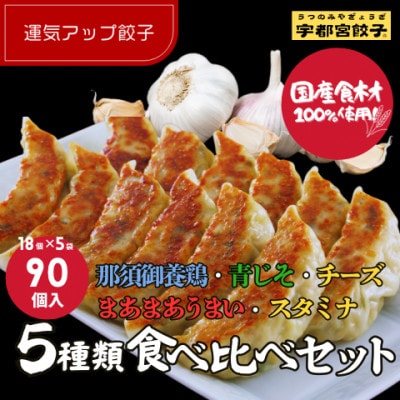 宇都宮餃子 運気アップ餃子5種類味比べセット(合計90個)