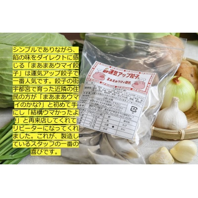 【2023年2月下旬発送】宇都宮餃子　5種類味比べ(合計100個)