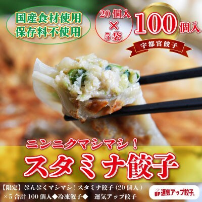 【2023年4月上旬発送】宇都宮餃子　ニンニクマシマシスタミナ餃子100個　保存料不使用